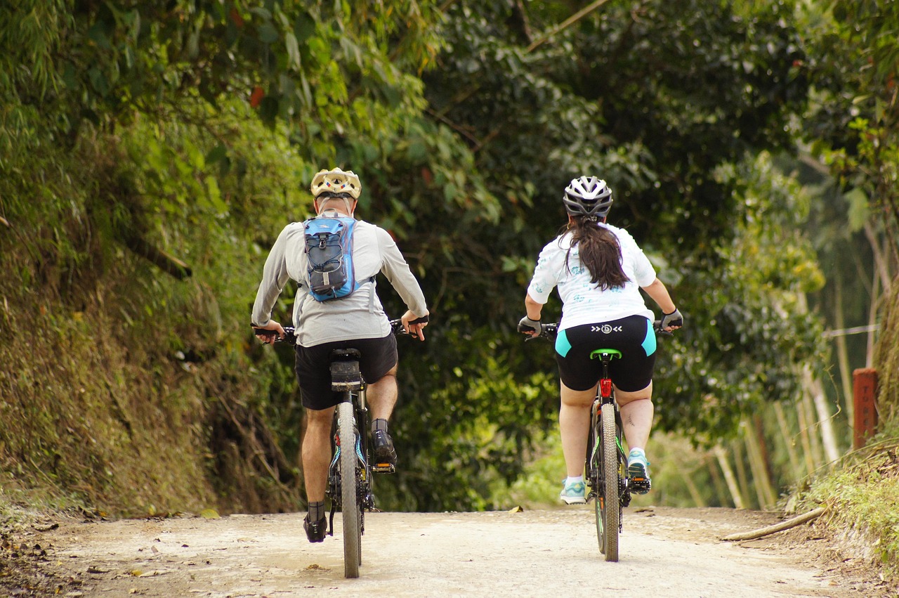 Un ciclista in mountain bike percorre un sentiero tra colline verdi e alberi rigogliosi.