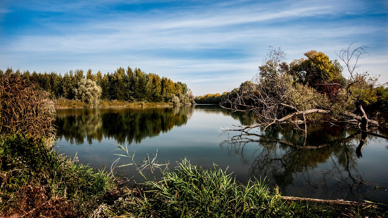 Panorama di un cammino naturalistico vicino a Pavia, con sentieri verdi e alberi.