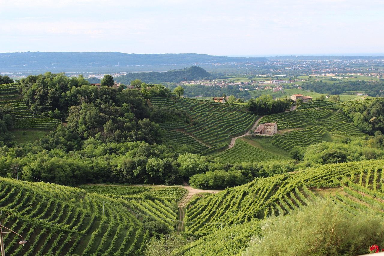 Panorama delle colline moreniche tra Lombardia e Veneto, con verdi paesaggi e dolci rilievi.