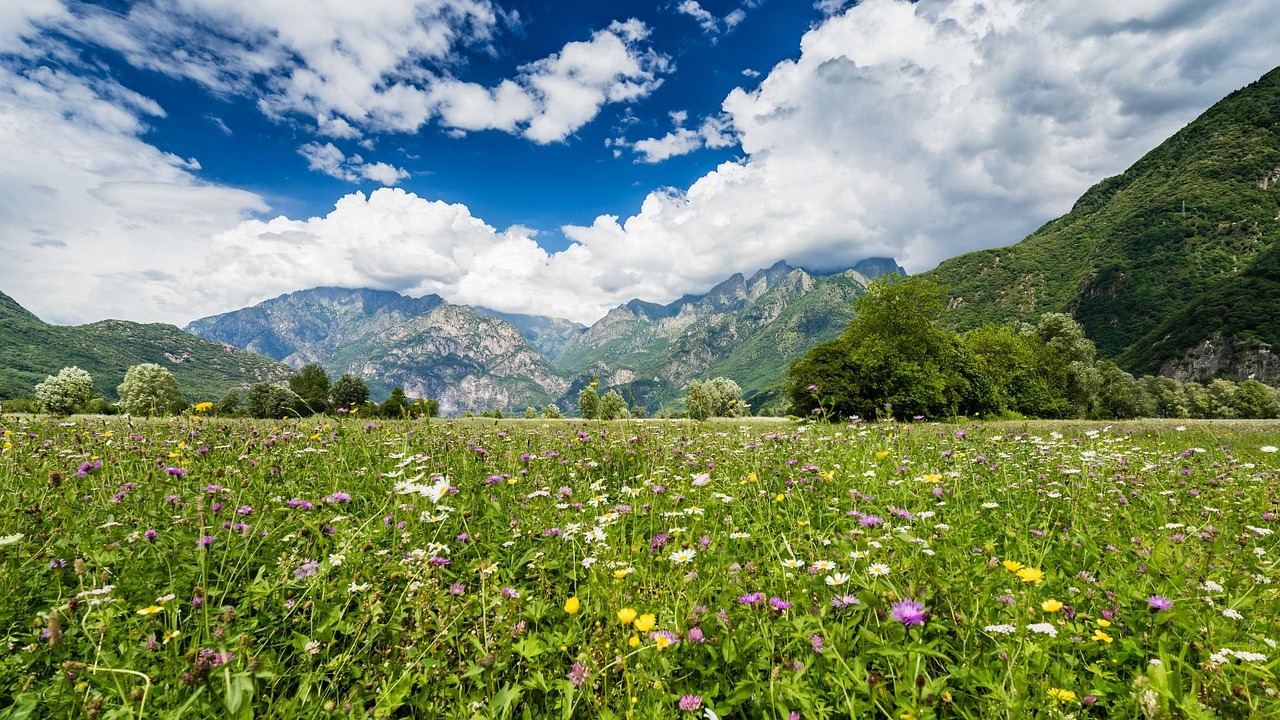 Fioriture primaverili nelle Prealpi lombarde, paesaggio colorato e panoramico.