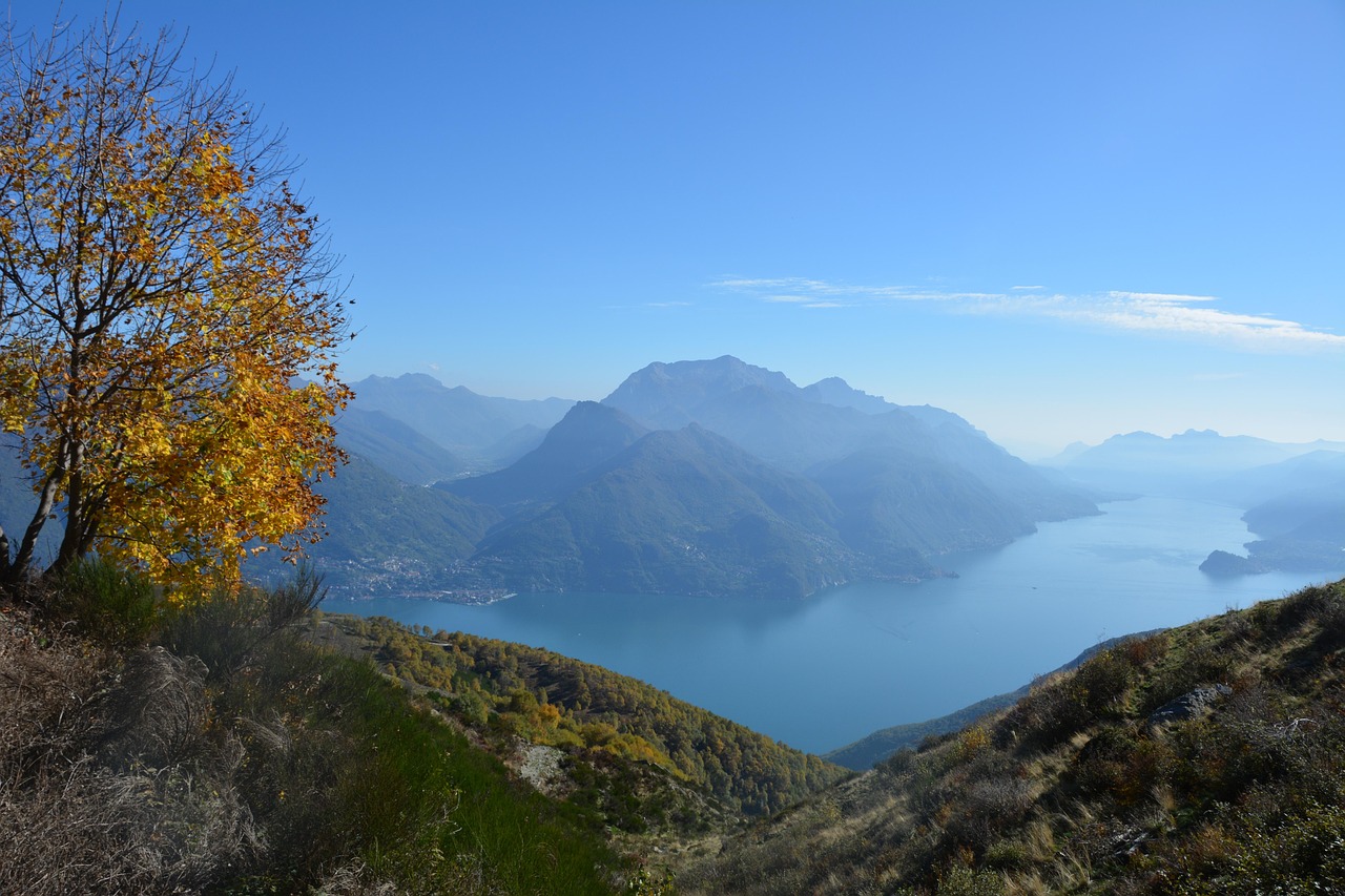 Vista panoramica del lago di Como da un sentiero, circondato da natura lussureggiante e montagne.