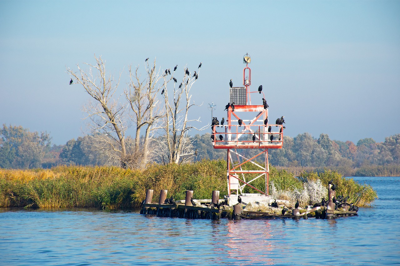 Fauna selvatica lombarda in un parco naturale, con animali nel loro habitat naturale.