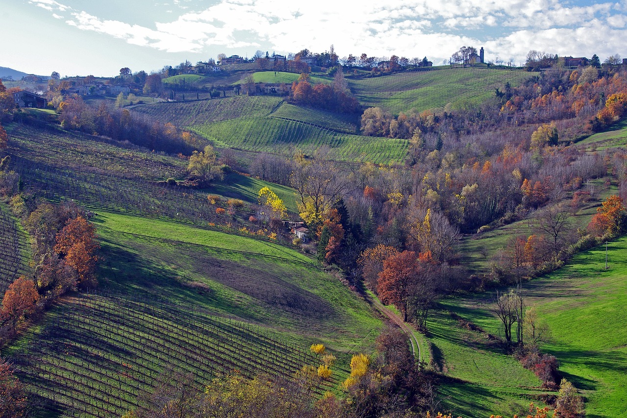 Vigneti lombardi in autunno con foglie dai colori vivaci di rosso, arancio e giallo.