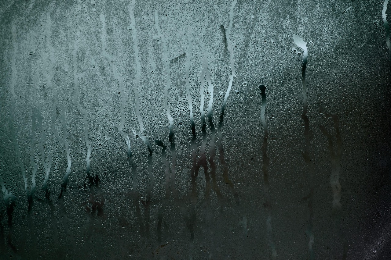 Immagine che mostra un deumidificatore in uso in una stanza, riducendo l'umidità nell'aria.