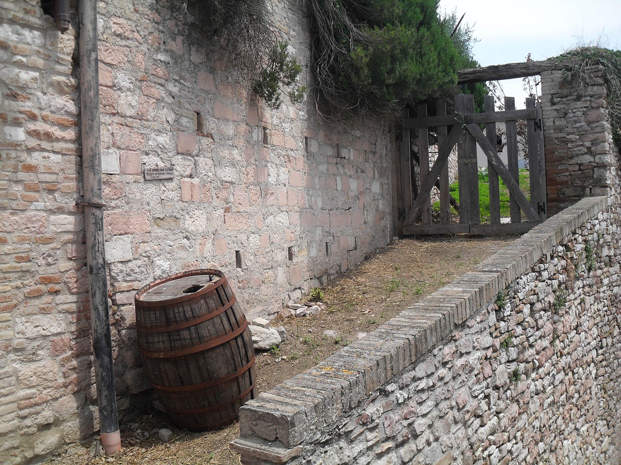 Vista panoramica del Borgo del Vesuvio con vigneti coltivati su roccia lavica.