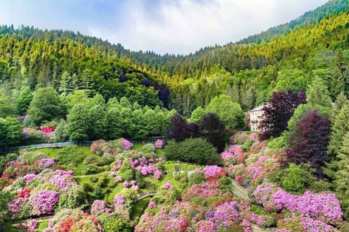 Vista di un borgo ligure con un orto botanico segreto, circondato da piante secolari e paesaggi mozzafiato.